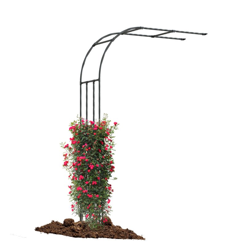 Half Side Garden Arch Trellis main image