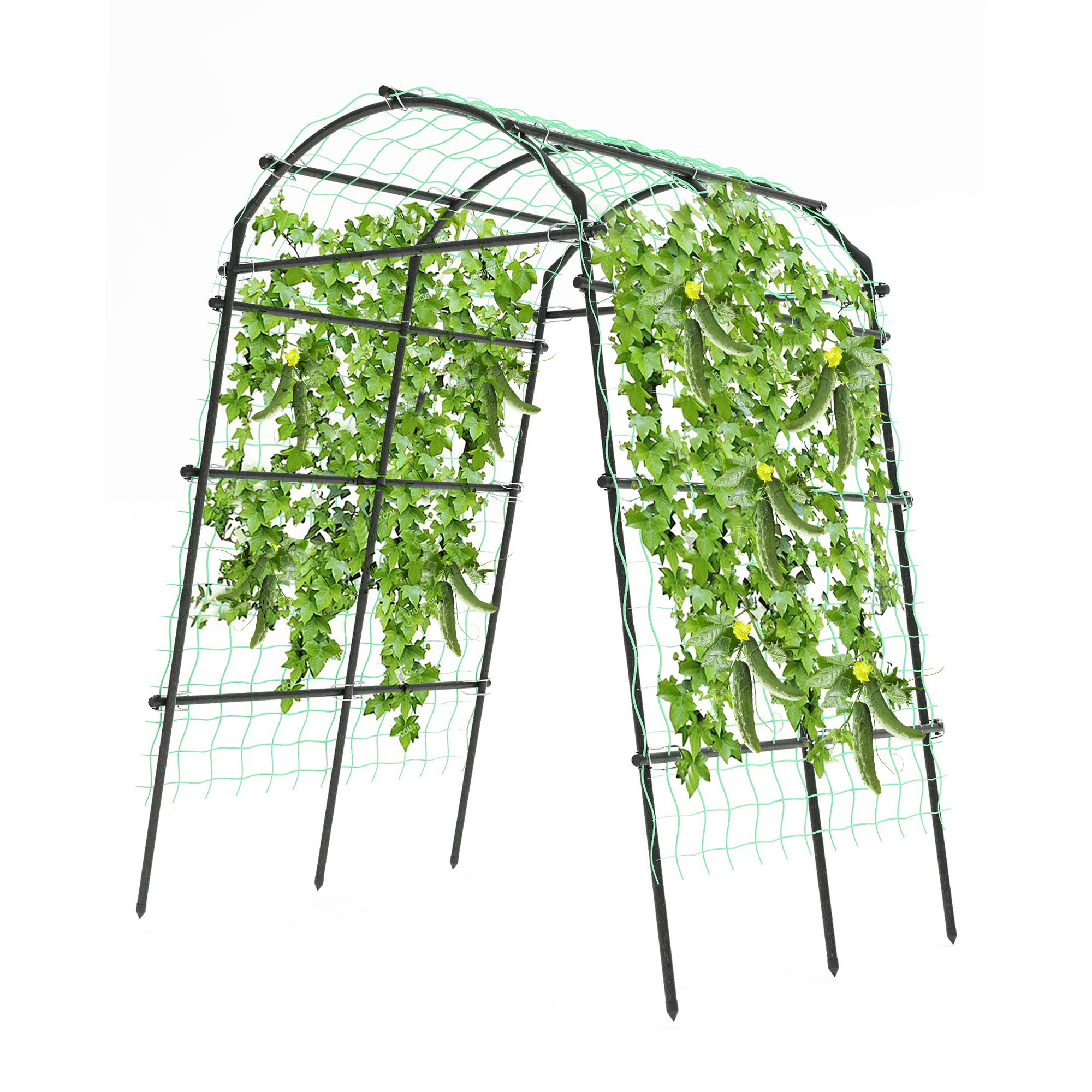 Main image of Black Garden Trellis