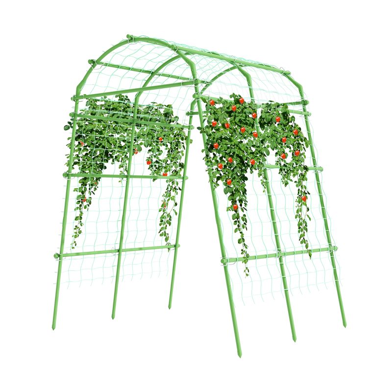 Green Plant Trellis