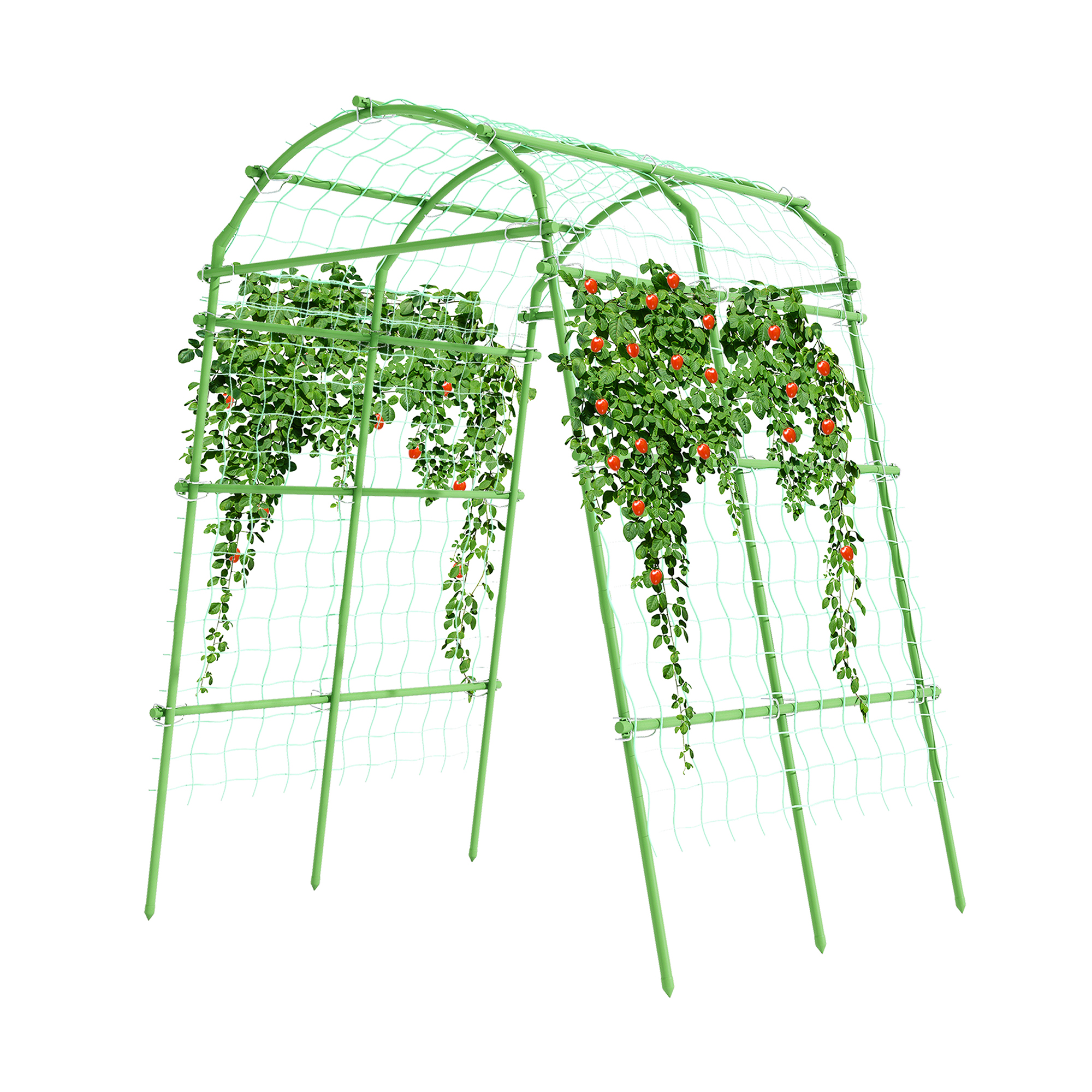 Green Plant Trellis Green Plant Trellis