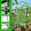 Details of Green Garden Trellis