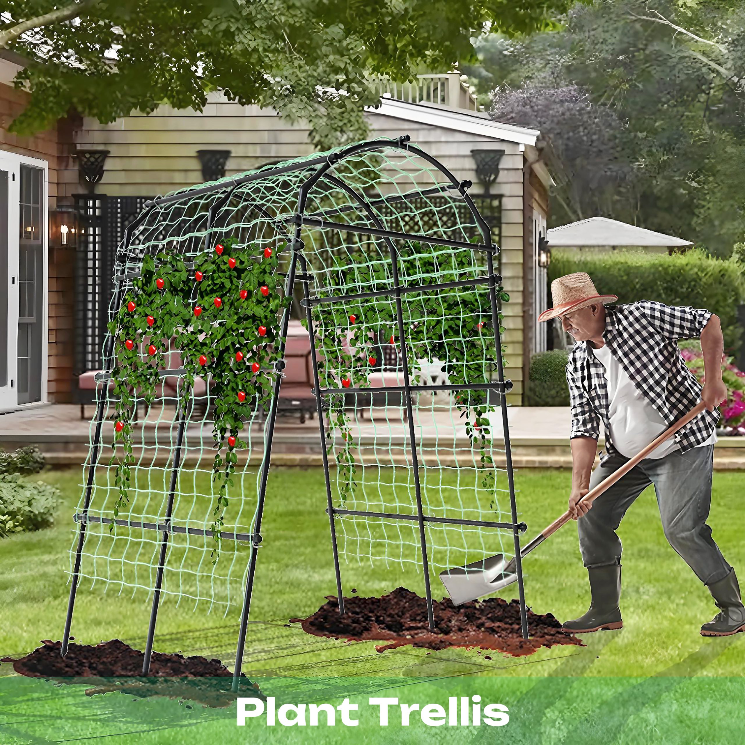 Plant Trellis Category