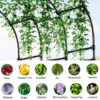 Half Side Garden Arch Trellis Plant Planting Recommendations