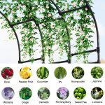 Half Side Garden Arch Trellis Plant Planting Recommendations