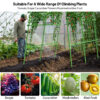 Suitable For A Wide Range Of Climbing Plants