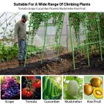 Suitable For A Wide Range Of Climbing Plants