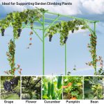 Introduction to using Green Extra Tall Grape Vine Trellis