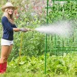 Women cleaning green garden trellis