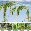 Introduction to using White Extra Tall Grape Vine TrellisIntroduction to using White Extra Tall Grape Vine Trellis Introduction to using White Extra Tall Grape Vine Trellis