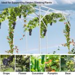 Introduction to using White Extra Tall Grape Vine Trellis