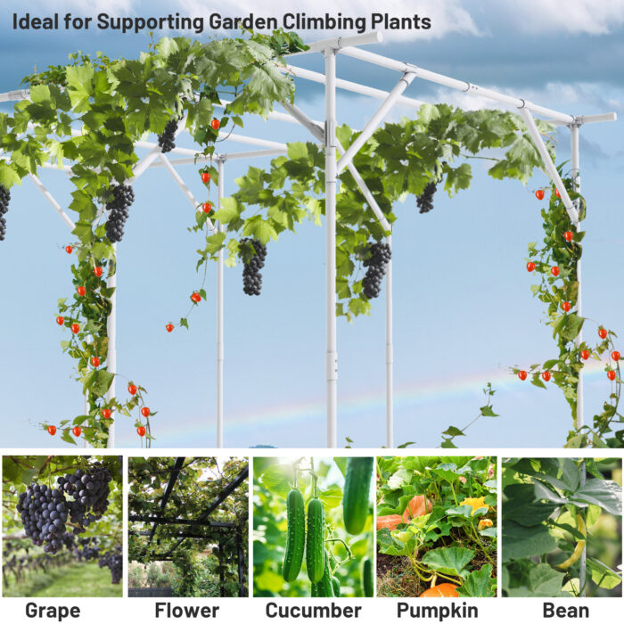 Introduction to using White Extra Tall Grape Vine TrellisIntroduction to using White Extra Tall Grape Vine Trellis Introduction to using White Extra Tall Grape Vine Trellis