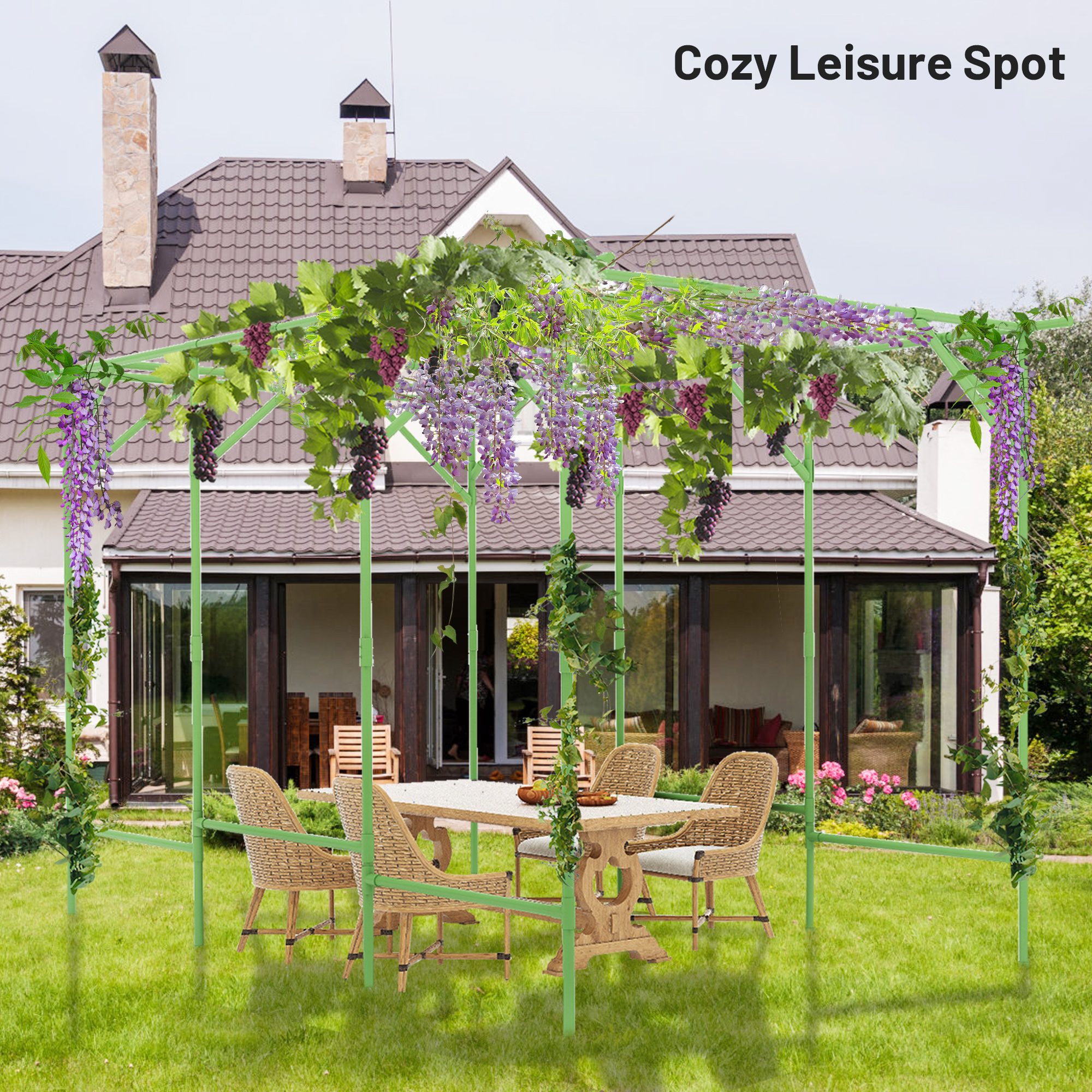 The grape vine trellis in the backyard