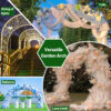 Metal Garden Arch Trellis usage scenarios Metal Garden Arch Trellis usage scenarios