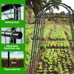 Details of Black Garden Trellis