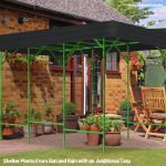 Green Extra Tall Grape Vine Trellis in the backyard