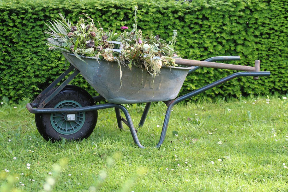 The unicycle is filled with weeds