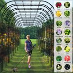 Metal Garden Arch Trellis Plant Recommendations