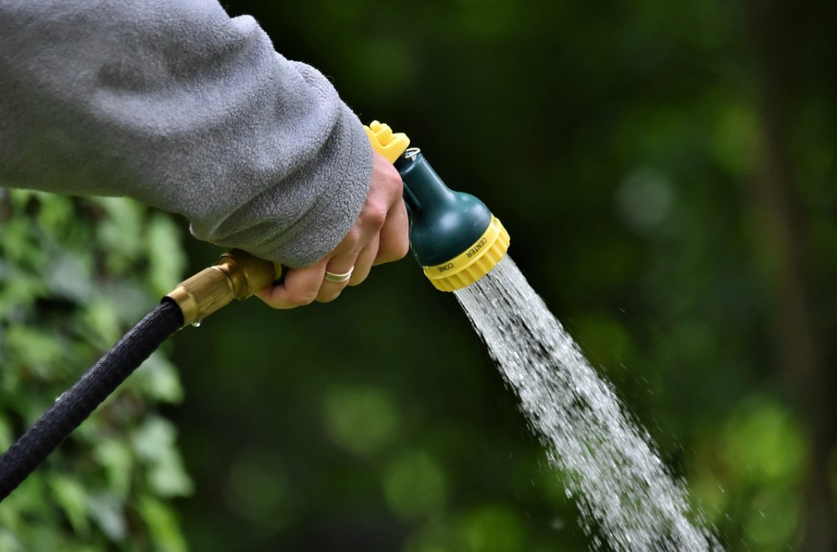 Blog watering