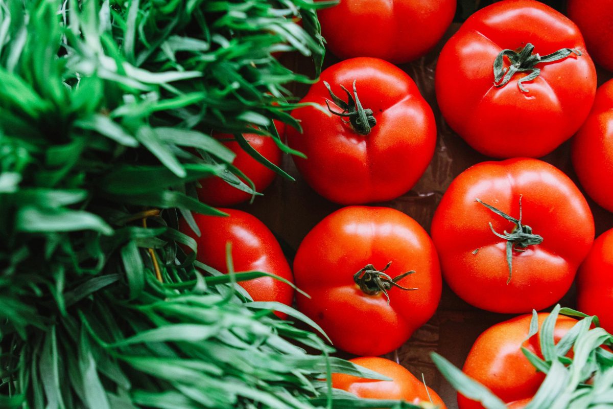 Companion planting