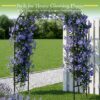 Square tube garden arch trellis — lifestyle