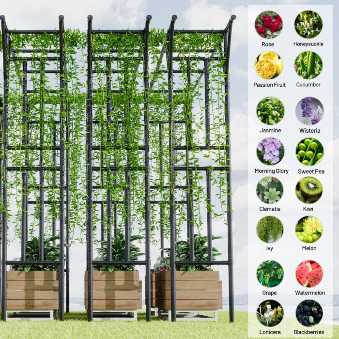 Flat top garden arch trellis, suitable for various climbing plants
