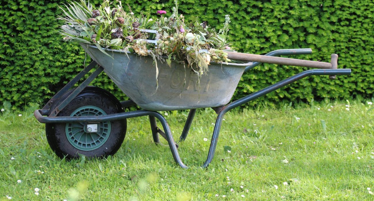 The unicycle is filled with weeds