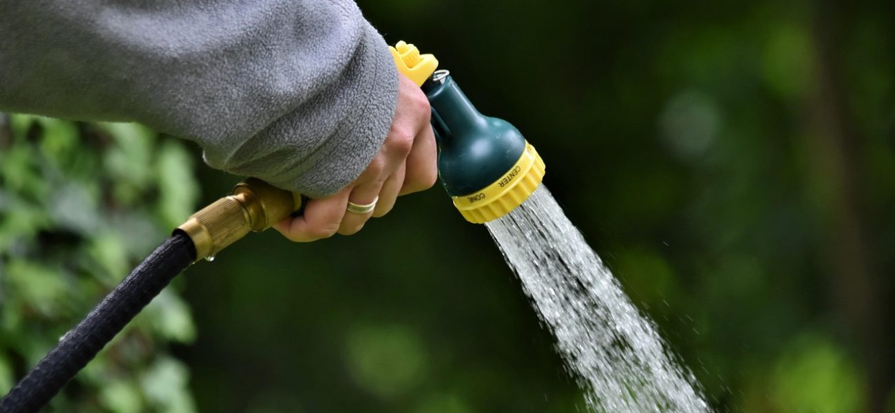 Blog watering